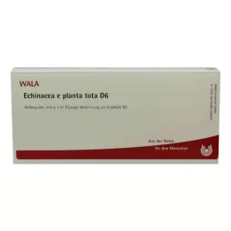 ECHINACEA E planta tota D 6 ampula, 10X1 ml
