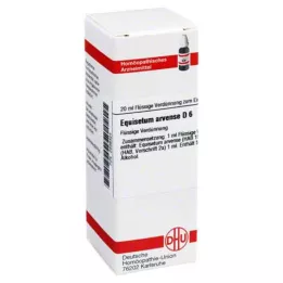 EQUISETUM ARVENSE D 6 Razrjeđenje, 20 ml