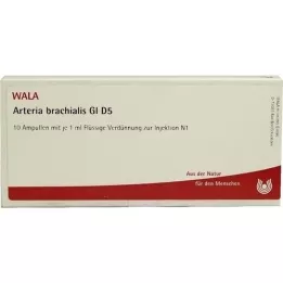 ARTERIA BRACHIALIS GL D 5 ampula, 10X1 ml