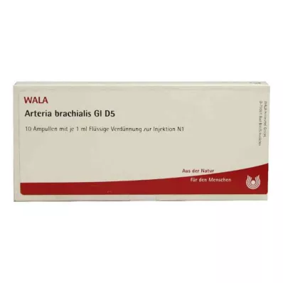 ARTERIA BRACHIALIS GL D 5 ampula, 10X1 ml