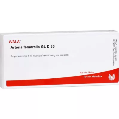 ARTERIA FEMORALIS GL D 30 ampula, 10X1 ml
