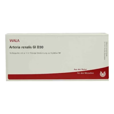 ARTERIA RENALIS GL D 30 ampula, 10X1 ml ARTERIA RENALIS GL D 30 ampula, 10X1 ml