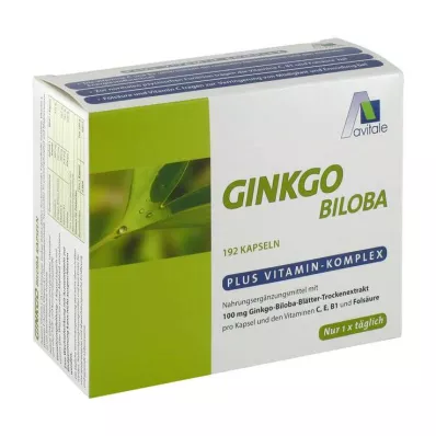 GINKGO 100 mg kapsule+B1+C+E, 192 kom GINKGO 100 mg kapsule+B1+C+E, 192 kom