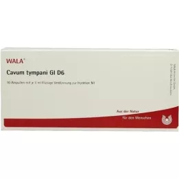 CAVUM tympani GL D 6 ampula, 10X1 ml