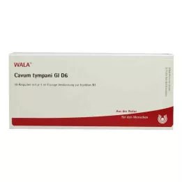 CAVUM tympani GL D 6 ampula, 10X1 ml