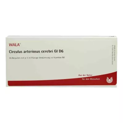 CIRCULUS arteriosus cerebri GL D 6 ampula, 10X1 ml CIRCULUS arteriosus cerebri GL D 6 ampula, 10X1 ml