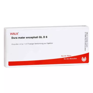 DURA MATER encephali GL D 6 ampula, 10X1 ml DURA MATER encephali GL D 6 ampula, 10X1 ml