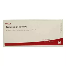 EQUISETUM EX Herba D 6 ampula, 10X1 ml