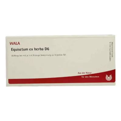 EQUISETUM EX Herba D 6 ampula, 10X1 ml