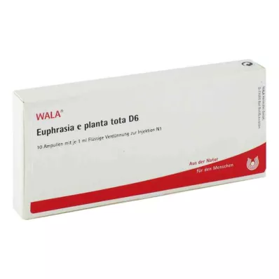 EUPHRASIA E planta tota D 6 ampula, 10X1 ml EUPHRASIA E planta tota D 6 ampula, 10X1 ml