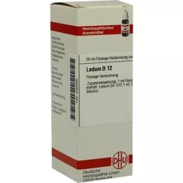 LEDUM D 12 Razrjeđenje, 20 ml