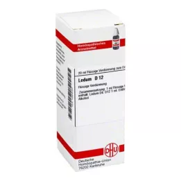 LEDUM D 12 Razrjeđenje, 20 ml