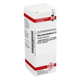 RHUS TOXICODENDRON C 30 razrjeđenje, 20 ml