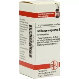 SOLIDAGO VIRGAUREA D 3 globule, 10 g