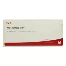 MAXILLA feti GL D 5 ampula, 10X1 ml