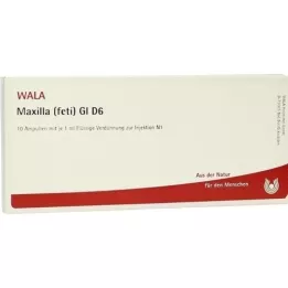 MAXILLA feti GL D 6 ampula, 10X1 ml