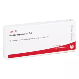 MUSCULI GLUTAEI GL D 5 ampula, 10X1 ml