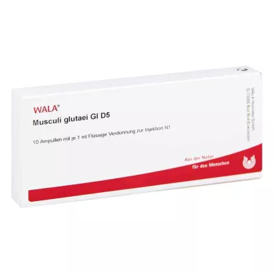 MUSCULI GLUTAEI GL D 5 ampula, 10X1 ml