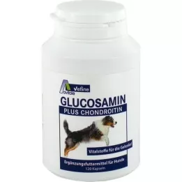 GLUCOSAMIN+CHONDROITIN kapsule za pse, 120 kom