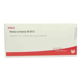 VESICA URINARIA GL D 12 ampula, 10X1 ml