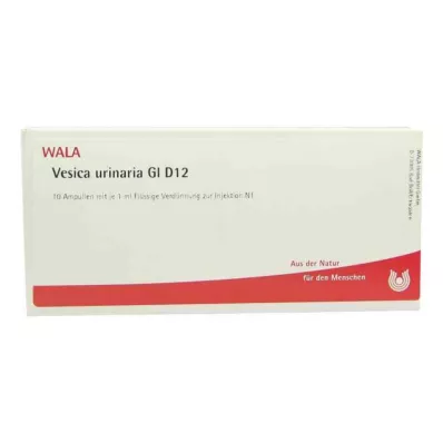 Vesica Urinaria Gl D12 ampule (10x1 ml)