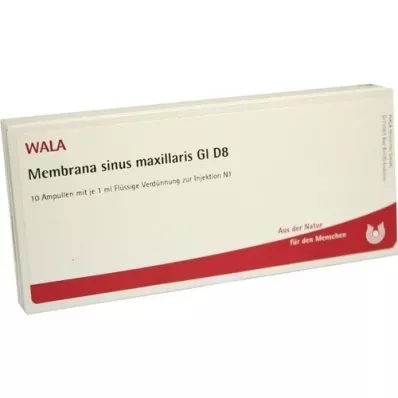MEMBRANA maksilarni sinus GL D 8 ampula, 10X1 ml