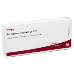 MEMBRANA synovialis GL D 12 ampula, 10X1 ml