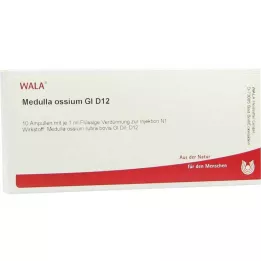 Medulla Ossium GL D 12 ampula, 10X1 ml
