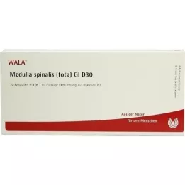 MEDULLA SPINALIS ukupno GL D 30 ampula, 10X1 ml