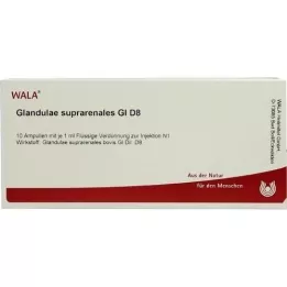 GLANDULAE SUPRARENALES GL D 8 ampula, 10X1 ml