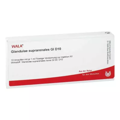 GLANDULAE SUPRARENALES GL D 10 ampula, 10X1 ml