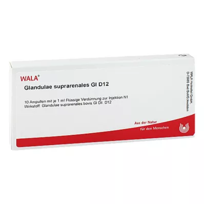 Glandulae suprarenalis GL D 12 ampula, 10X1 ml