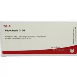 HYPOPHYSIS GL D 5 ampula, 10X1 ml