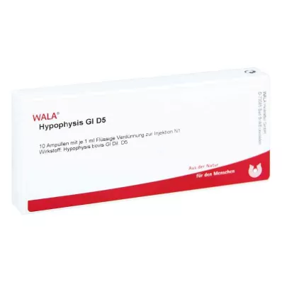 HYPOPHYSIS GL D 5 ampula, 10X1 ml HYPOPHYSIS GL D 5 ampula, 10X1 ml