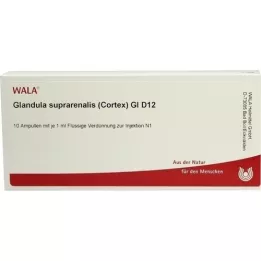 GLANDULA SUPRARENALES korteks GL D 12 ampula, 10X1 ml