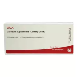 GLANDULA SUPRARENALES korteks GL D 12 ampula, 10X1 ml