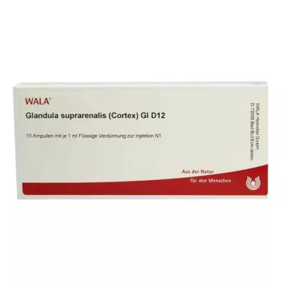 Suprarenalna žlijezda.Cort.Gl D12 ampule (10x1 ml)