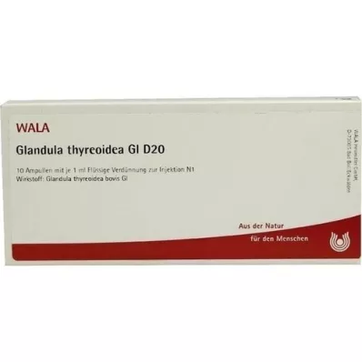 GLANDULA THYREOIDEA GL D 20 ampula, 10X1 ml