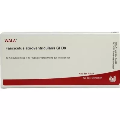 FASCICULUS atrioventricularis GL D 8 ampula, 10X1 ml