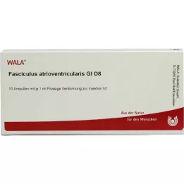 FASCICULUS atrioventricularis GL D 8 ampula, 10X1 ml