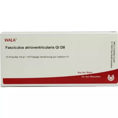 FASCICULUS atrioventricularis GL D 8 ampula, 10X1 ml