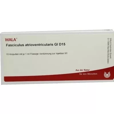 FASCICULUS atrioventricularis GL D 15 ampula, 10X1 ml