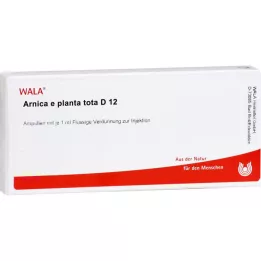 ARNICA E Planta tota D 12 ampula, 10X1 ml