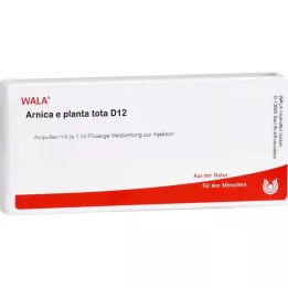 ARNICA E Planta tota D 12 ampula, 10X1 ml