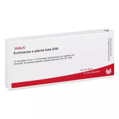 ECHINACEA E planta tota D 30 ampula, 10X1 ml