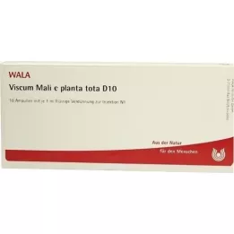 VISCUM MALI e planta tota D 10 ampula, 10X1 ml