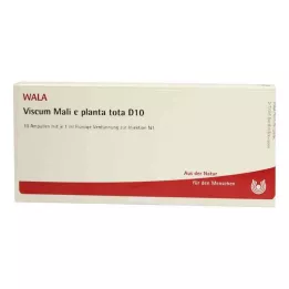 VISCUM MALI e planta tota D 10 ampula, 10X1 ml