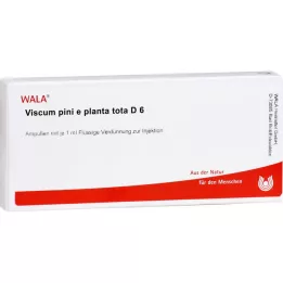 VISCUM PINI e planta tota D 6 ampula, 10X1 ml