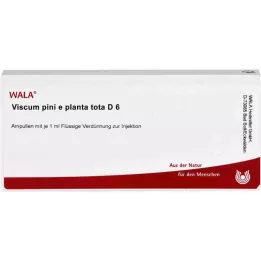 VISCUM PINI e planta tota D 6 ampula, 10X1 ml