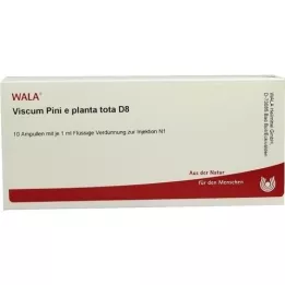 VISCUM PINI e planta tota D 8 ampula, 10X1 ml